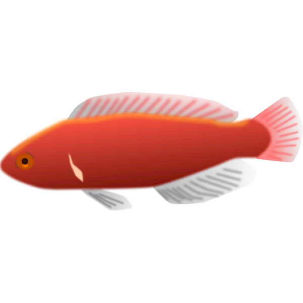 fishred